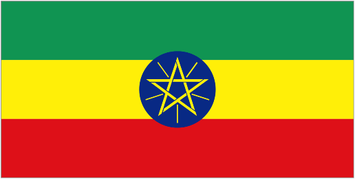 Ethiopian Muslims and Ethiopian Christian Orthodox Demand Religious Freedom for All Ethiopians (SMNE)