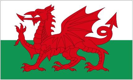 Image of Welsh National Flag 