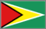 Flag of Guyana