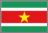 Flag of Suriname